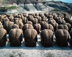 Magdalena Abakanowicz: 80 selkää. Tilapäinen installaatio Calgaryn lähistöllä Kanadassa, 1982. Kuva: Dirk Bakker