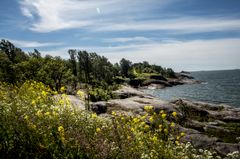 Vallisaari. Kuva: HAM / Helsinki Biennaali / Matti Pyykkö.