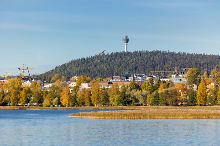 Etualalla Kuopionlahtea, jonka rannalla puustoa, taloja ja muutama nosturi. Taimmaisena kuvassa havupuinen rinne, jonka päällä näkyvät Puijontorni ja hyppyrimäki.