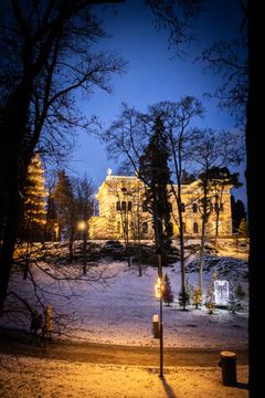 Talvinen puisto: valaistuja joulukuusia lumisessa maisemassa, taustalla valaistu rakennus.