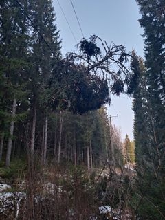 Hannes-myrskyn aiheuttamia vaurioita Elenian sähköverkossa