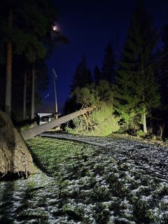 Hannes-myrskyn aiheuttamia vaurioita Elenian sähköverkossa