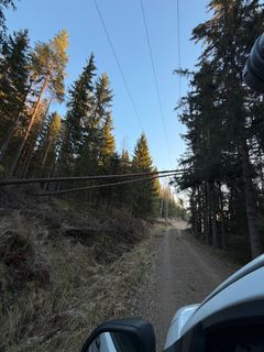 Hannes-myrskyn aiheuttamia vaurioita Elenian sähköverkossa