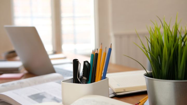 Kyniä ja opiskeluvälineitä pöydällä