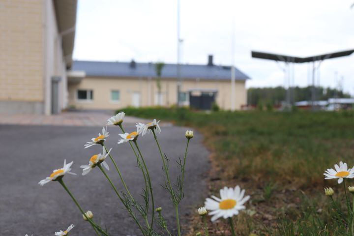 Koisoniityn asumispalveluyksikkö