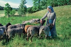Ihmisten lisäksi näyttelyssä käsitellään myös eläinten DNA-tutkimuksia, jotka kertovat kotieläinten historiasta.