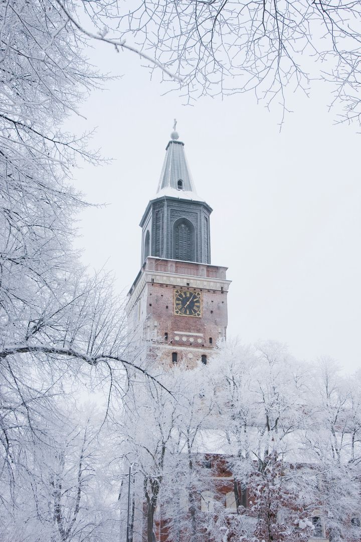 Media får möjlighet att höra mer om forskningen vid en presskonferens som hålls i Åbo domkyrka