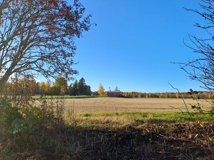 Syksyinen peltoaukea puiden reunustamana, taustalla metsää ja rakennus.