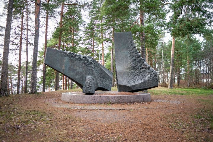 Kaksi tummaa pronssilohkaretta mäntymetsän keskellä.