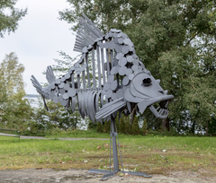 Metallinen kalaa esittävä veistos seisoo nurmikolla.