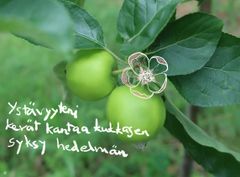 Omenapuun oksalla on kaksi vihreää omenaa. Valokuvan päälle on piirretty omenien viereen omenapuunkukka. Alakulmassa on haiku: Ystävyyteni, kevät kantaa kukkasen, syksy hedelmän.