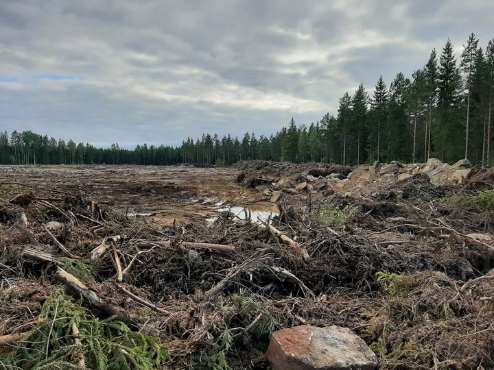 Tuulivoimateollisuus aiheuttaa merkittävää pysyvää metsäkatoa.