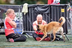 Matti Lampinen ja belgianpaimenkoira malinois Meri leikkimässä onnellisina, ystävä riemukkaana ja liikuttuneena vieressä.