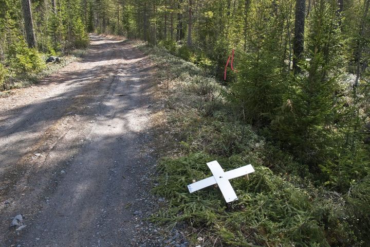 En%20somrig%20bild%20av%20ett%20skogigt%20omr%E5de%20med%20en%20grusv%E4g%20som%20g%E5r%20genom%20mitten.%20Vid%20grusv%E4gens%20kant%20syns%20en%20vit%20flygsignal.