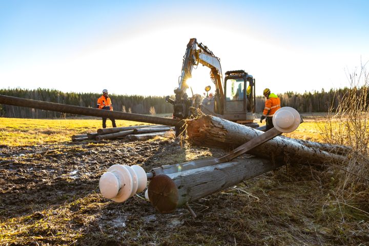 Viime vuosina Carunalla on purettu yli 10 000 sähköpylvästä. Ammattilaiset huolehtivat puretuista pylväistä.