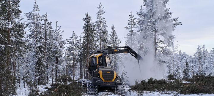 Metsäkonee kaataa puita lumisessa metsässä.