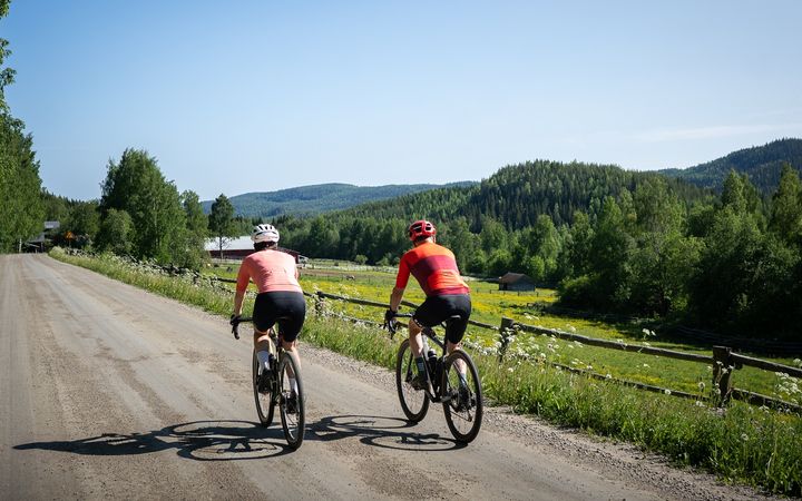 Gravel- eli soratiepyöräily lisää suosiotaan. Kolilla järjestetään vuonna 2024 kaksi gravel-tapahtumaa, Koli Gravel Carnival 25.5. ja lajin SM-kilpailut 16.-17.8.