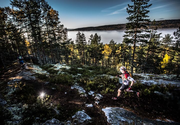 Polkujuoksulle luonteenomaista on elämyksellisyys. Tapahtumien reitit voivat olla teknisesti ja profiililtaan helppoja tai haastavia. Vaarojen Maratonin (kuva) reitti kulkee Kolin kansallispuistossa ja sen tuntumassa.