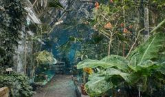 Alt text: Dense foliage in a digital glasshouse setting with various green plants and flowers. A pathway leads through the lush environment.