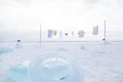 Art in Frozen People Festival, 2023