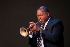 mies soittaa trumpettia