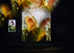 Jakob Kudsk Steensen, The Kuutar Garden, 2026. Simulering i realtid och spatialt ljud.