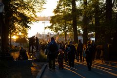 Auringonlasku Kissojen Yössä. Kuva: Mari Lehmonen, Korkeasaaren eläintarha. Vapaasti median käytettävissä.