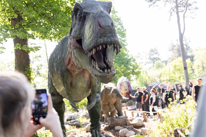 Korkeasaaren dinosaurukset. Kuva: Annika Sorjonen / Korkeasaaren eläintarha