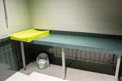 Esteettömän WC:n hoitotaso on mitoitettu myös aikuisille sopivaksi. Kuva: Julia Peltola, Korkeasaaren eläintarha