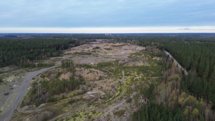 Nordin suunnitellun aurinkovoimalan hankealue Kokemäen Ronkankankaalla.
