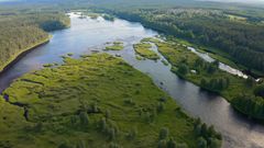 Pohjois-Pohjanmaalla sijaitseva Iijoki virtaa 370 kilometrin matkan poikki pohjoisen Suomen, Kuusamon Iijärvestä aina Iin taajaman luoksen Perämereen.