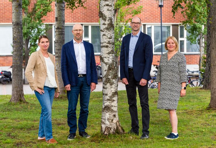 Neljä toimialajohtajaa seisovat koivun alla ja katsovat kameraan.