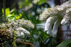 Kädet, jotka on maalattu valkoisiksi ja koristeltu kukilla.