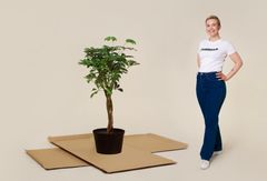 Istutetaan puita yhdessä. Pakkaa.fi