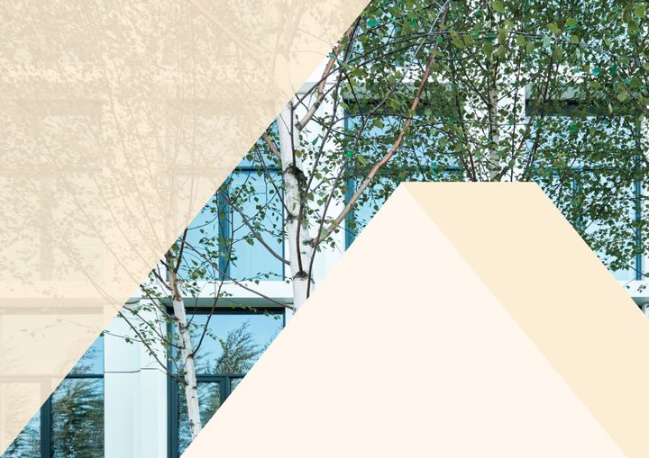 Kolmioiden peittämä kuva, jossa taustalla näkyy ikkunoita ja puita.