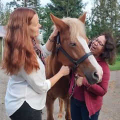 Revon & Rädyn kuva © Venla Vaittinen