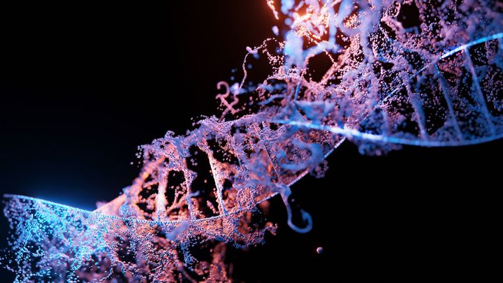 Crispr-menetelmän avulla voidaan muokata DNA-juostetta tarkasti ja yksinkertaisesti halutussa genomin kohdassa