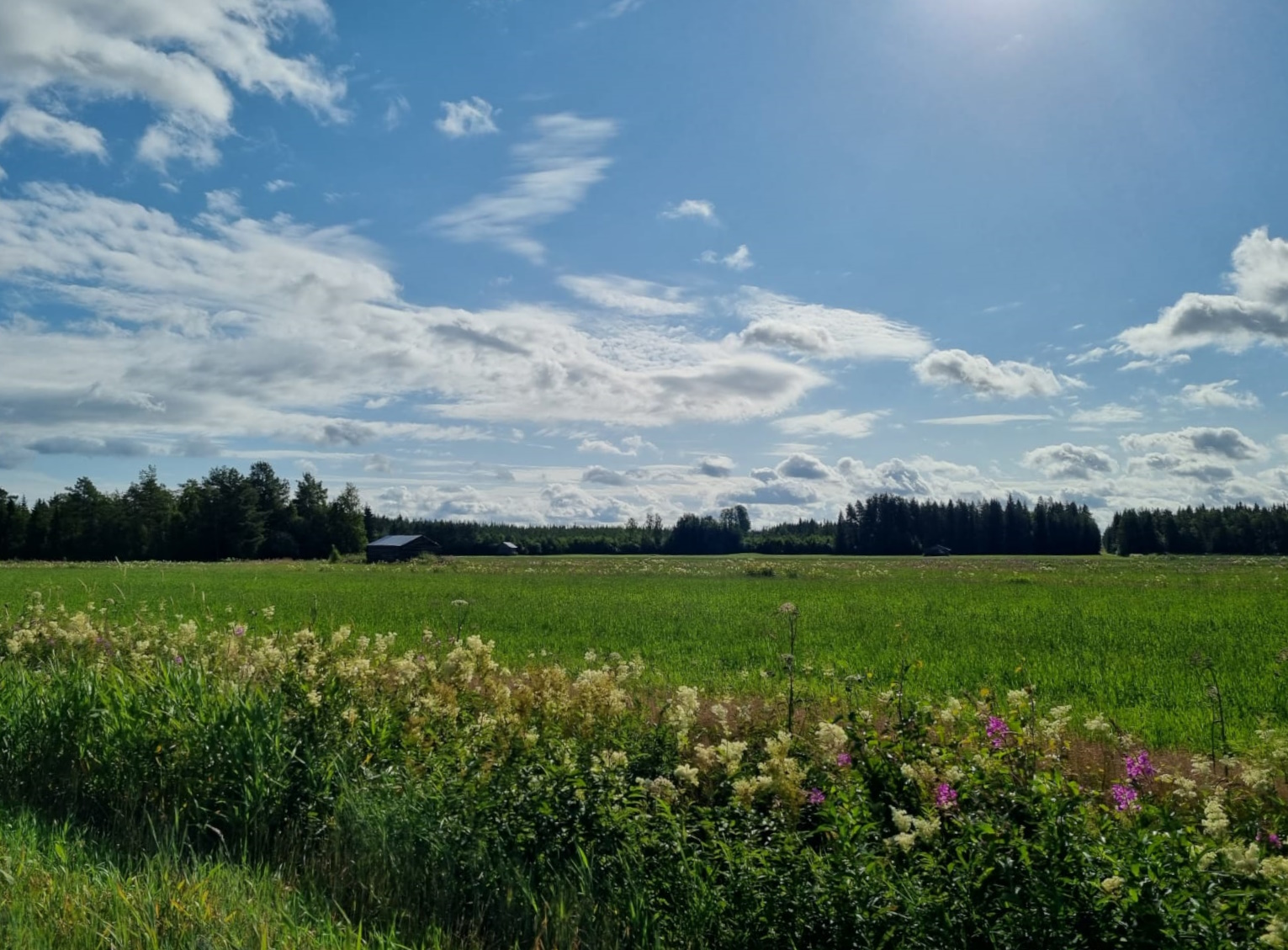 Hauksuonnevan uusiutuvan energian hanke läpäisi ympäristöarvioinnin