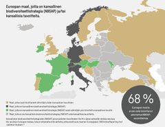 Euroopan kartta, johon on merkitty ne maat, joilla on kansallinen biodiversiteettistrategia tai vähintään yksi kansallinen tavoite.