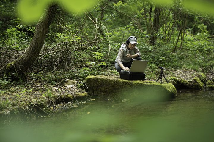 Ekologi istuu metsän keskellä äänimittauksia tehden: päässä kuulokkeet ja edessä läppäri.