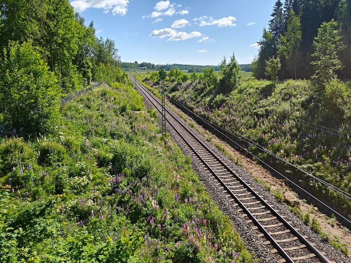 Junaraide keskeällä vehreää maisemaa.