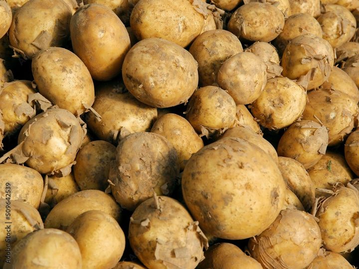 varhaisperunoita