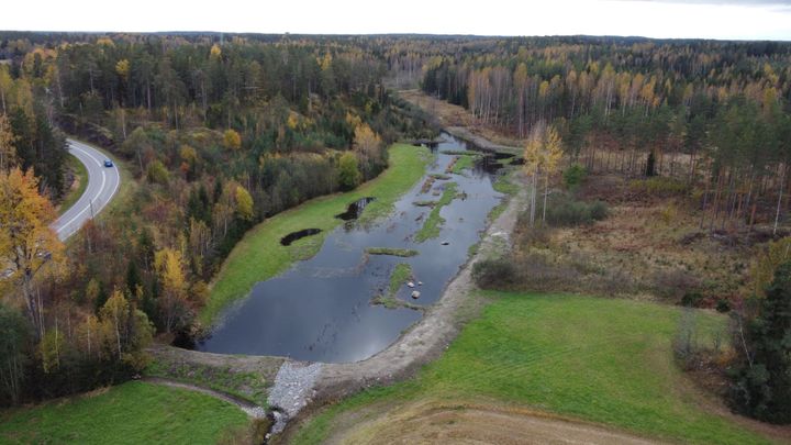 Metsäkosteikko yläperspektiivistä kuvattuna.