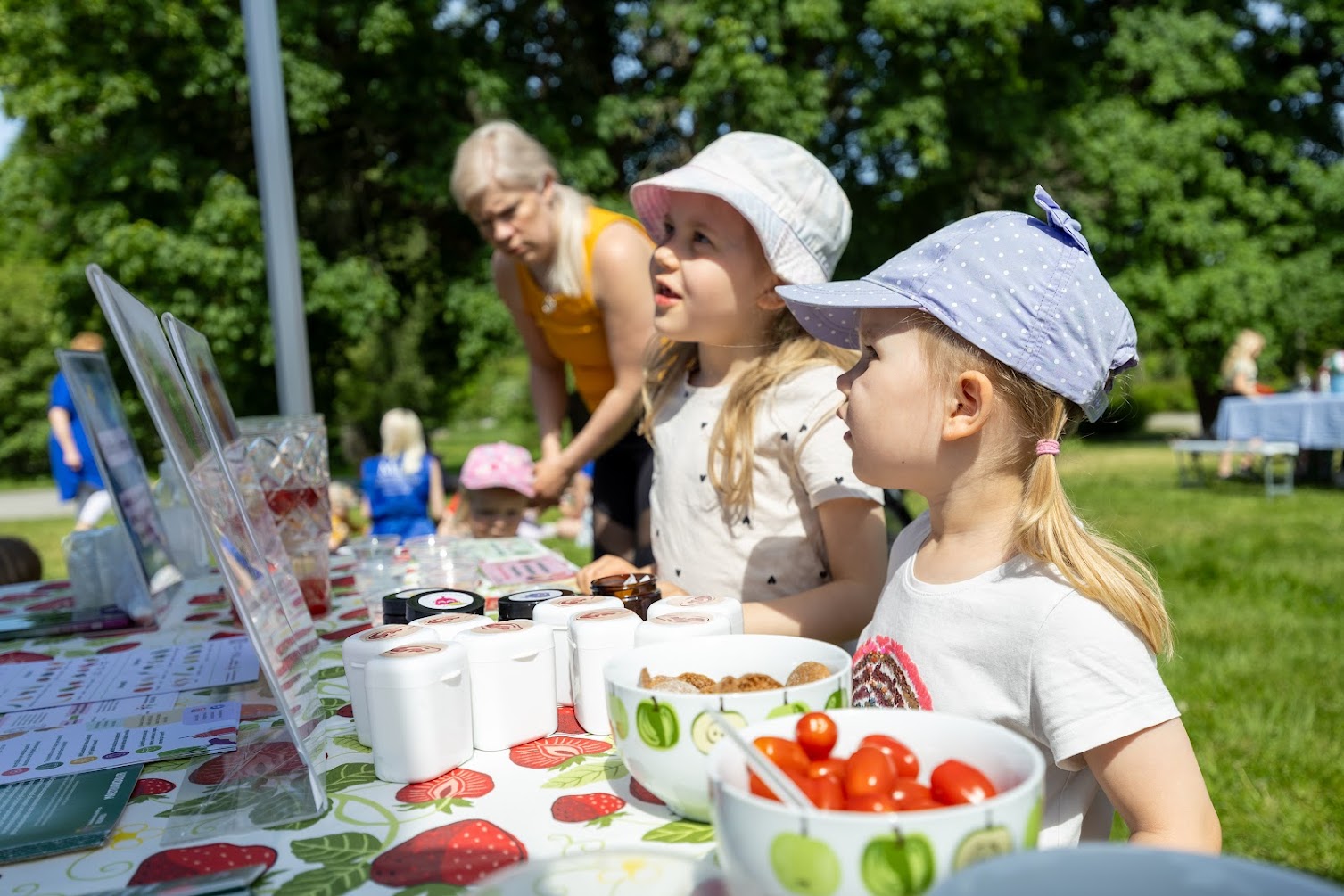 Janakkalan puistoruokailu keräsi 2 000 osallistujaa kesäkuussa