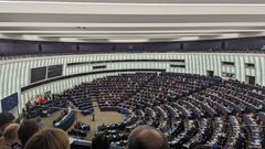Voting in Plenary / Roberta Colotta