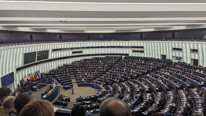 Voting in Plenary / Roberta Colotta