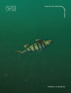 Baltic Sea Action Group – Käänteentekevä
