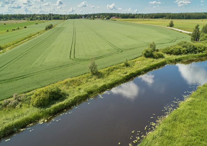 Viljapelto ja metsäinen joenvarsi kesäpäivänä.