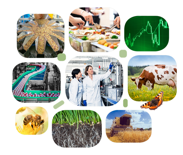 Monimuotoisia maatalous- ja ruokatuotantoaiheisia kuvia, kuten viljaketjua, mehiläistä, laboratoriossa työskenteleviä ihmisiä, lehmää laitumella ja sadonkorjuukonetta pellolla.