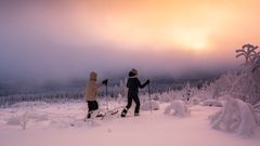 Kuva: Lieksan Kehitys